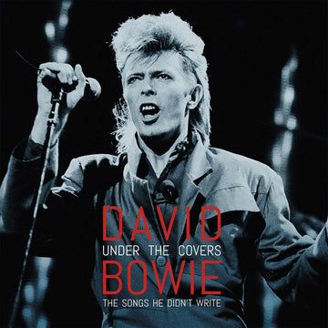 David Bowie - Under the Covers: The Songs He Didn't Write - 2LP - Vinyl