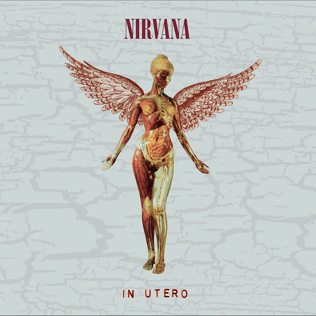 Nirvana - In Utero (30th Anniversary Deluxe Edition) - 2CD