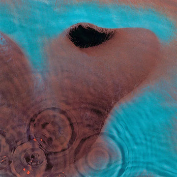 Pink Floyd - Meddle - LP - Vinyl