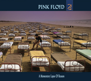 Pink Floyd - A Momentary Lapse of Reason - LP - Vinyl
