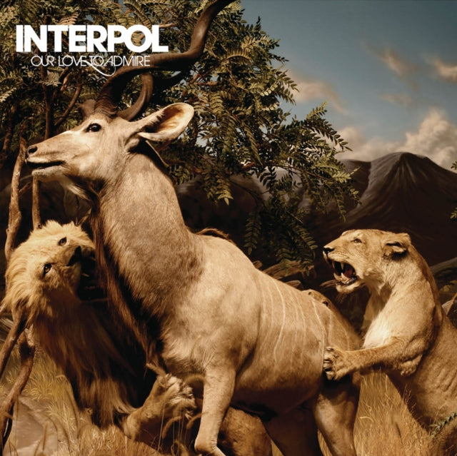 Interpol - Our Love to Admire - CD