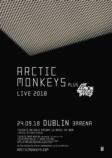 Arctic Monkeys - Dublin 2018  - Mini Poster