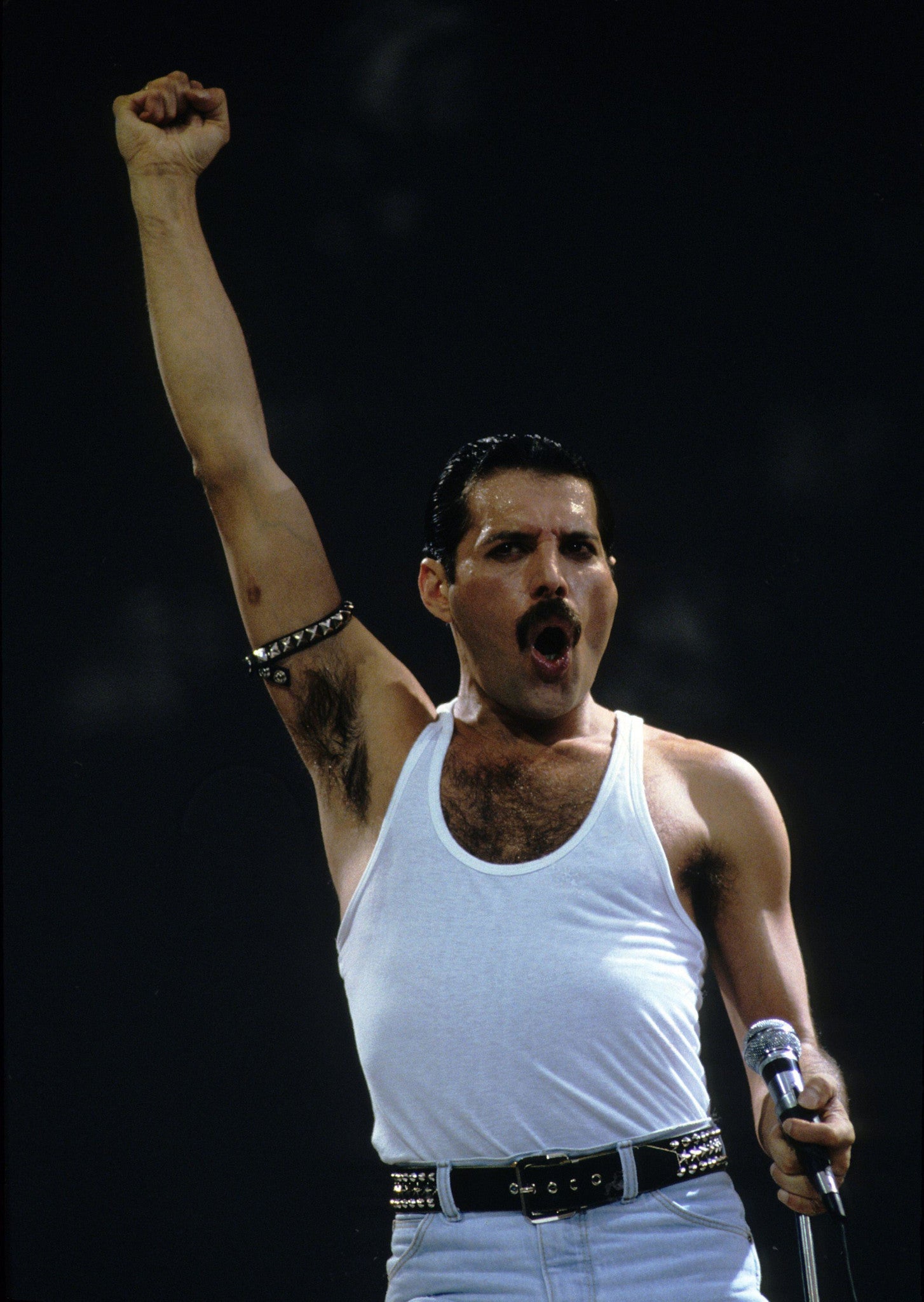 Queen - Freddie Mercury - A3 Poster