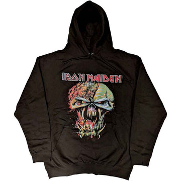 Iron Maiden Unisex Pullover Hoodie: Final Frontier Big Head (Black)