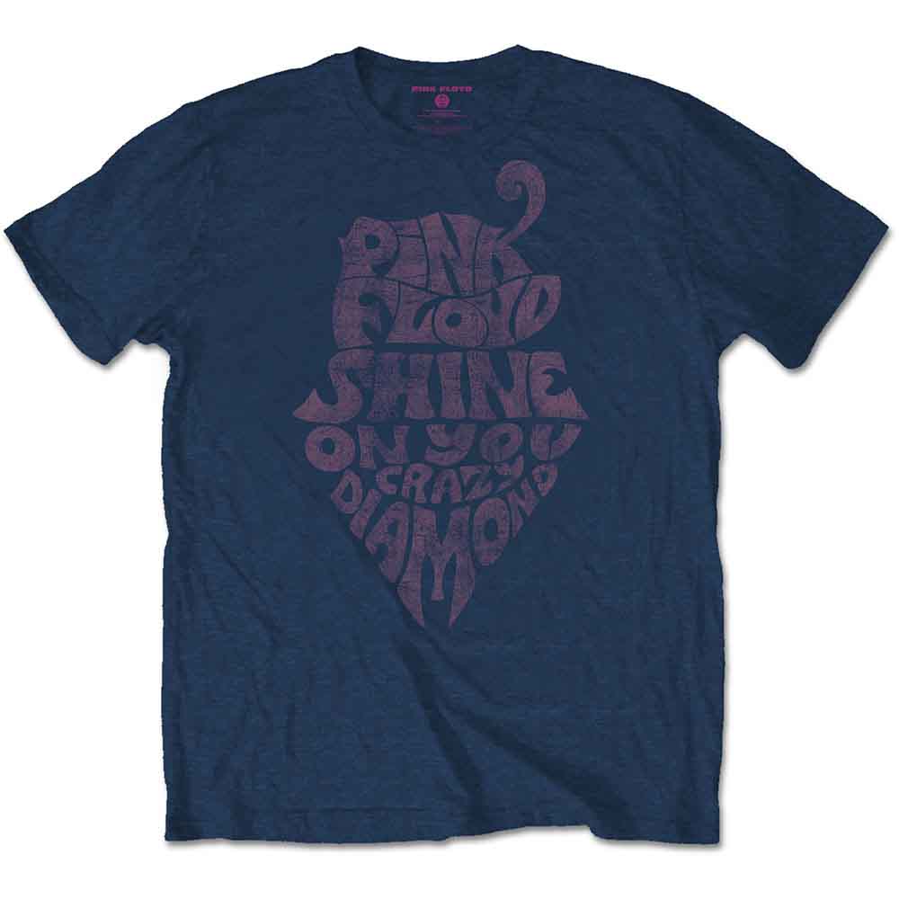 Pink Floyd Unisex T-Shirt: SOYCD Vintage (Navy Blue)