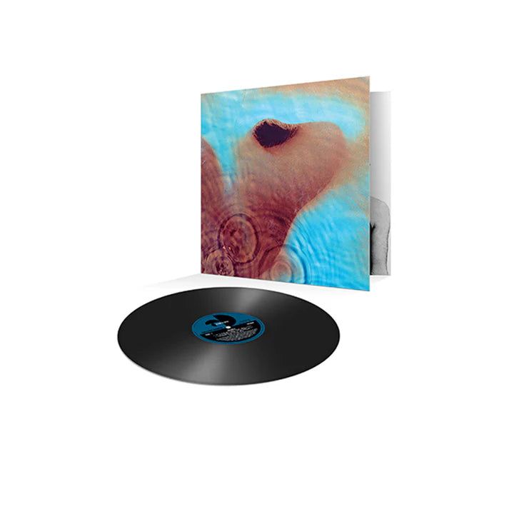Pink Floyd - Meddle - LP - Vinyl