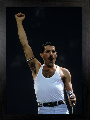Queen - Freddie Mercury - A3 Framed Poster