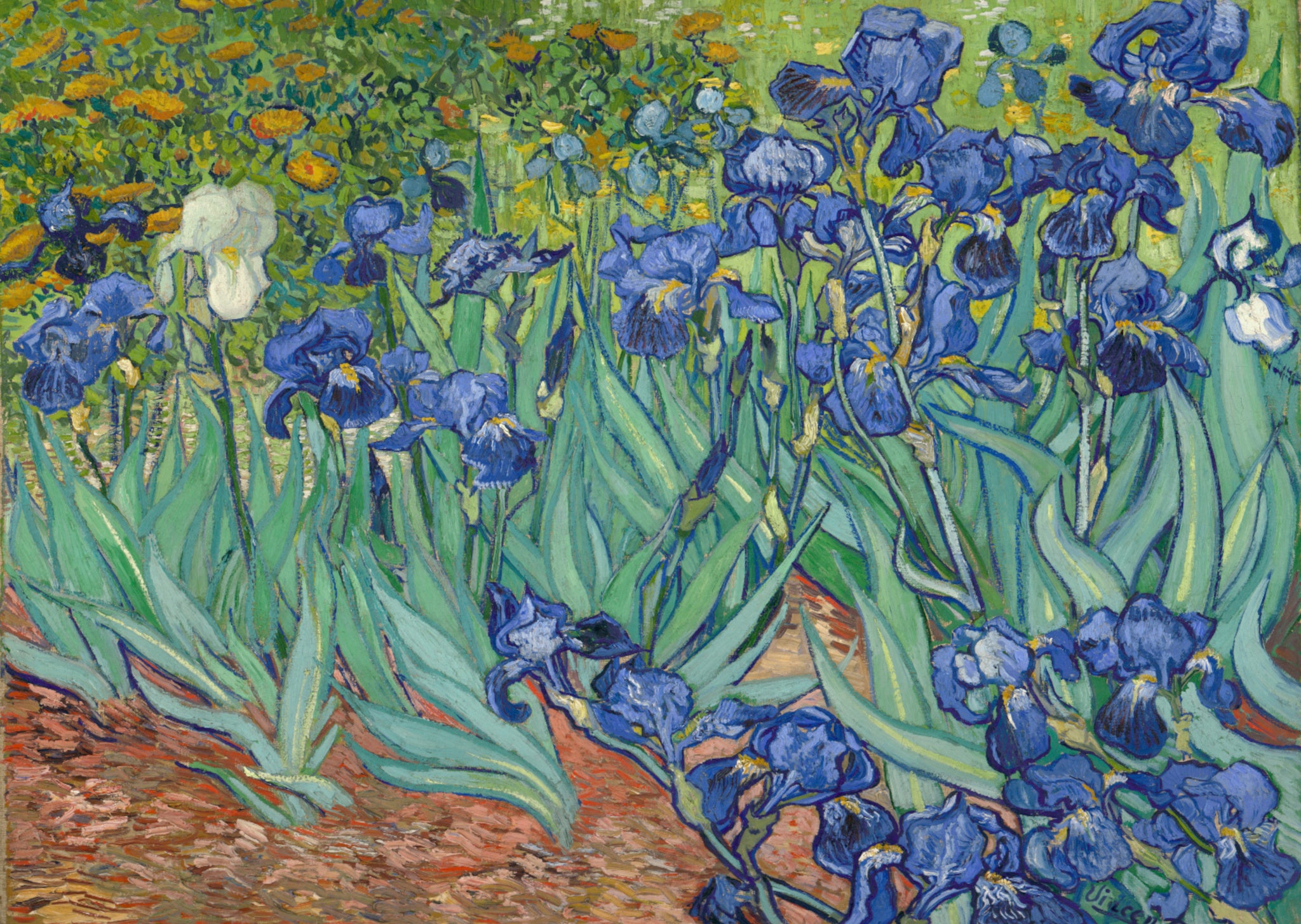 Vincent Van Gogh - Irises - A4 Mini Print/Poster
