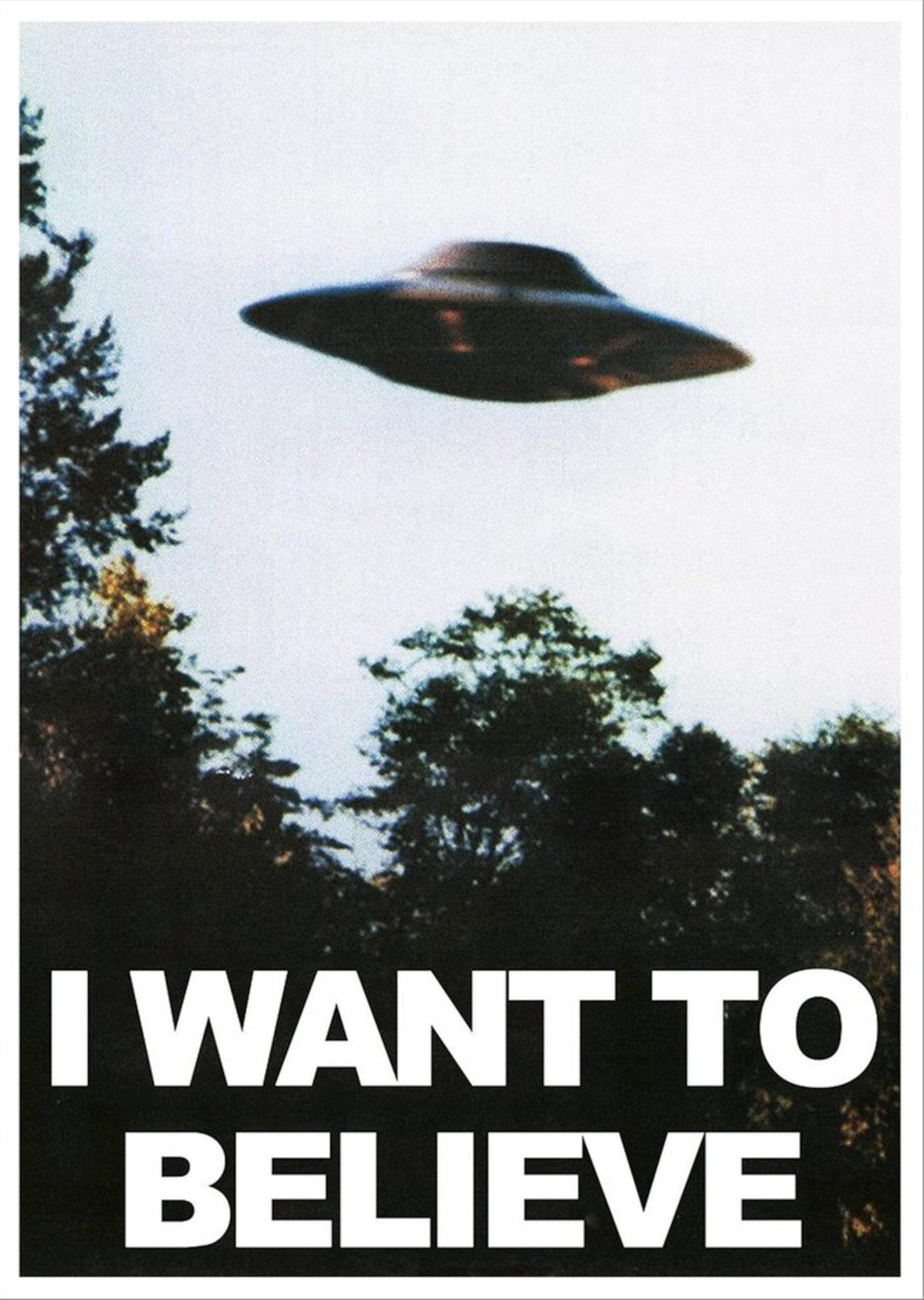 The X-Files - I Want to Believe - A4 Mini Print/Poster