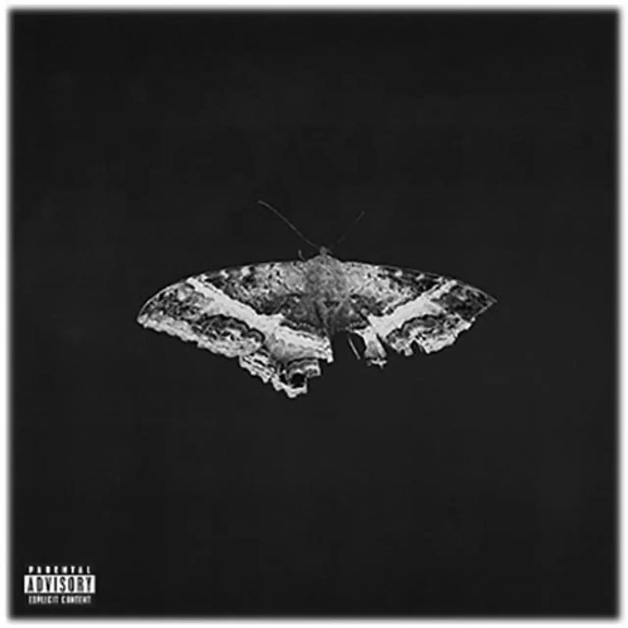 Kendrick Lamar - To Pimp a Butterfly (10th Anniversary Edition) - Alternate Artwork - 2LP - Vinyl