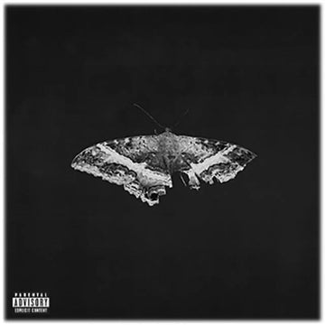 Kendrick Lamar - To Pimp a Butterfly (10th Anniversary Edition) - Alternate Artwork - 2LP - Vinyl